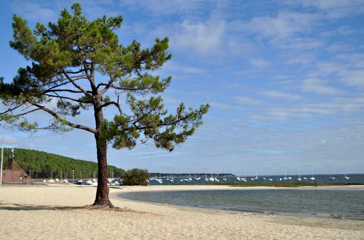 Carcans Lake, the Côte D'Argent