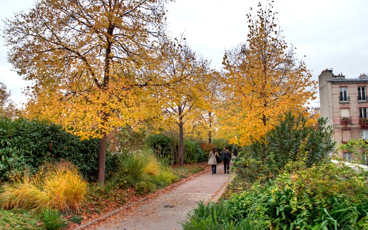 Autumn leaves on the Promenade Plantée