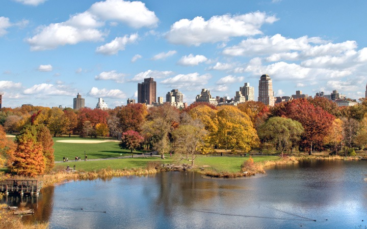Autumn colours in New York's Central Park // In pictures – On the Luce ...