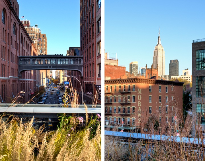 Views from the High Line