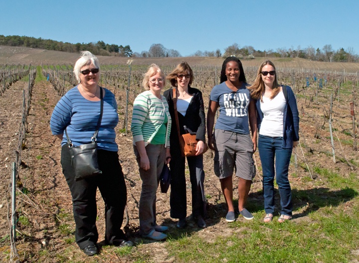 Champagne vineyards