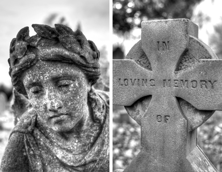 Photos using a Nikon 35mm/f1.8 lens