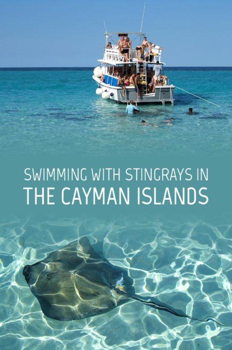 Swimming with stingrays in the Cayman Islands – On the Luce travel blog