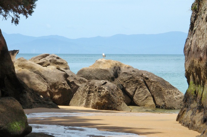 Rock formations in Abel Tasman National Park