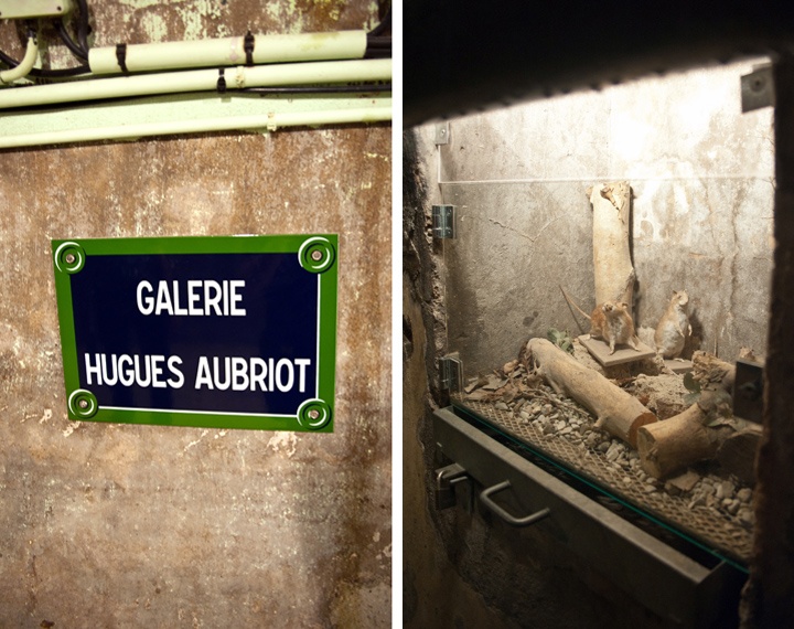 Paris sewer tour