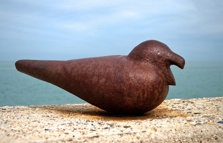 Seagull on the Alabaster Coast