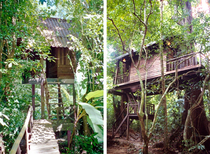 Treehouses in the jungle in Khao Sok, Thailand