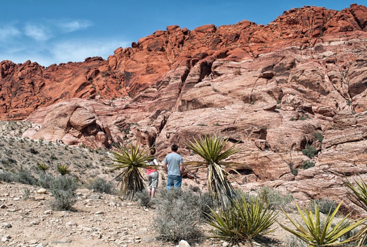 Red Rock Canyon near Las Vegas in Nevada, USA