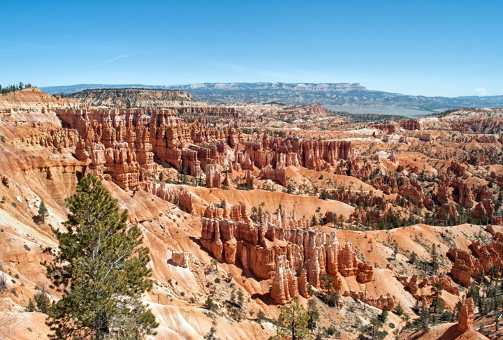 Rim Trail, Bryce Canyon National Park, Utah
