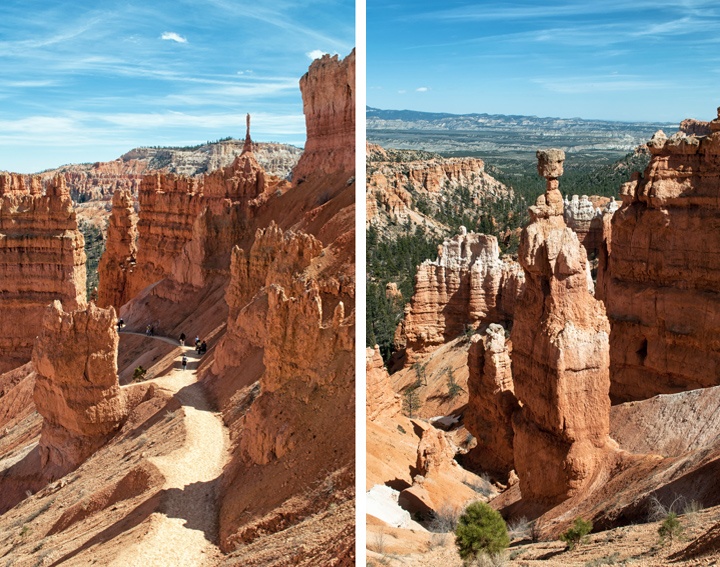 Hoodoos on the Navajo Loop Trail, Bryce Canyon National Park, Utah