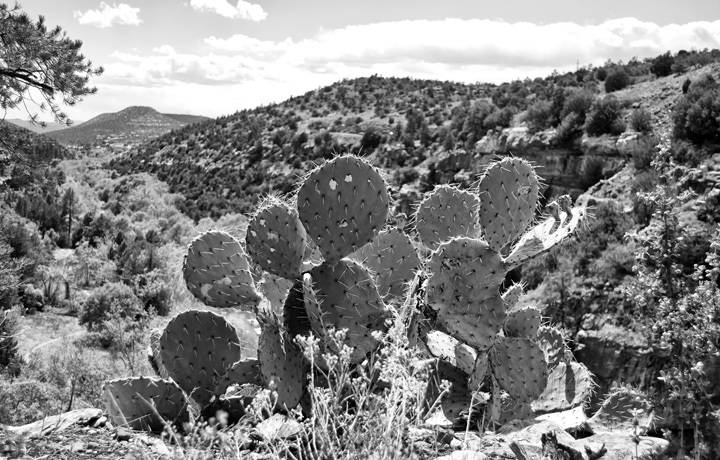 View from Oak Creek Vista, Sedona, Arizona, USA