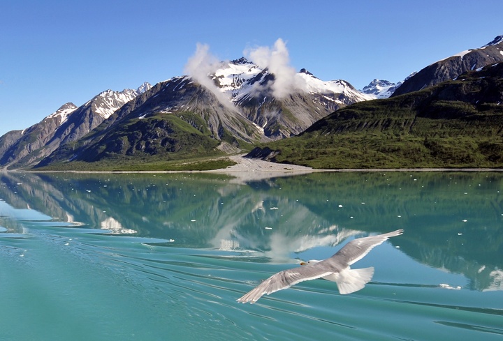 Glacier Bay National Park, Alaska, USA