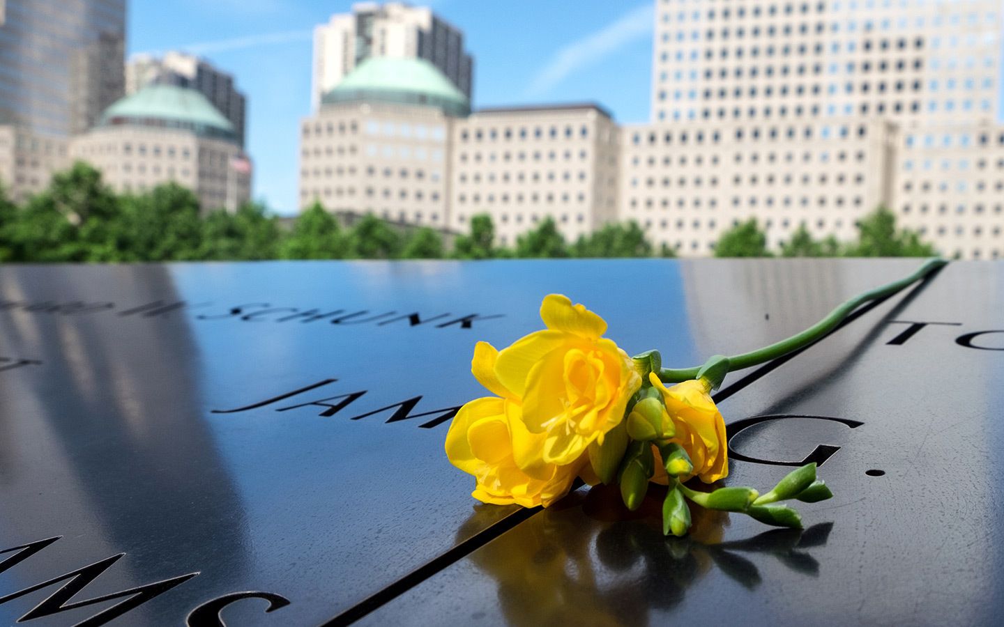 Musée et mémorial du 11 septembre, New York