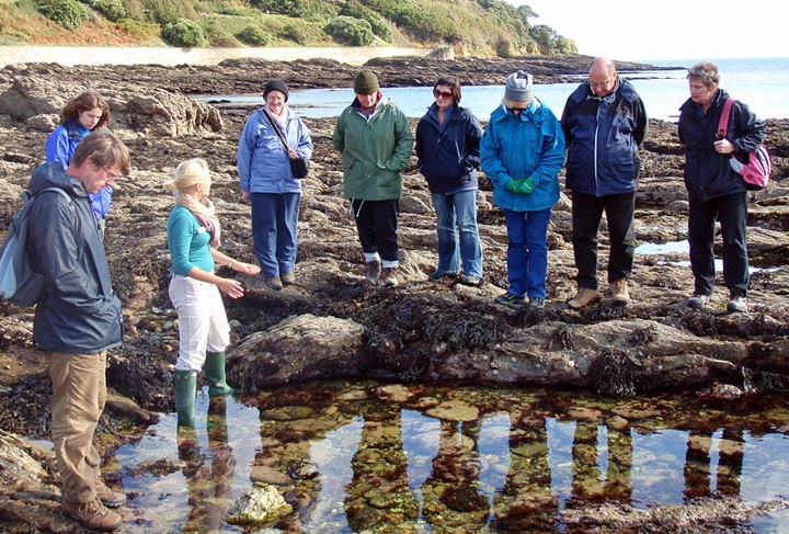 Rockpooling on Beachsweep holiday, Cornwall