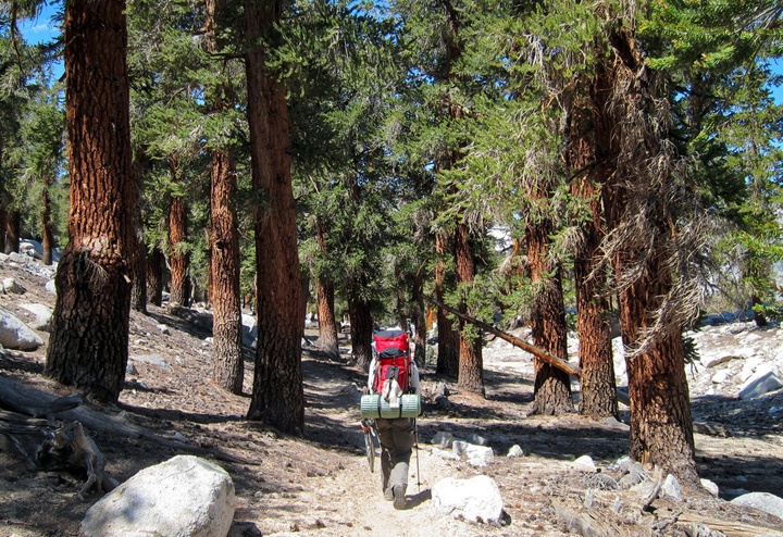Hiker on the Pacific Crest Trail