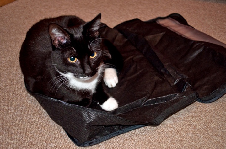 Packing cubes test and review