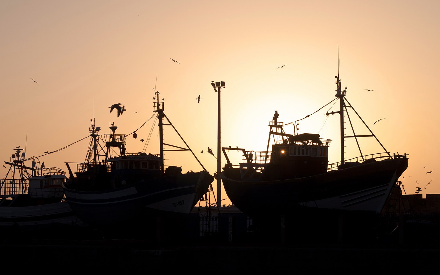Fishing boats silhouetted against the sunset in Essaouira