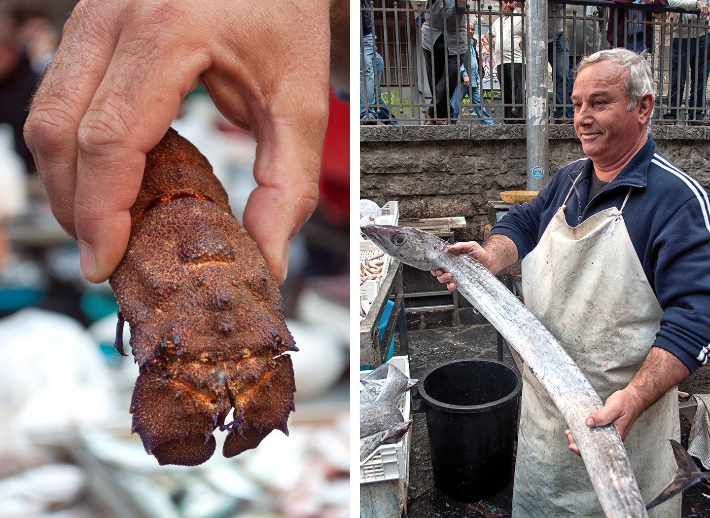 Catania fish market (La Pescheria) in Sicily