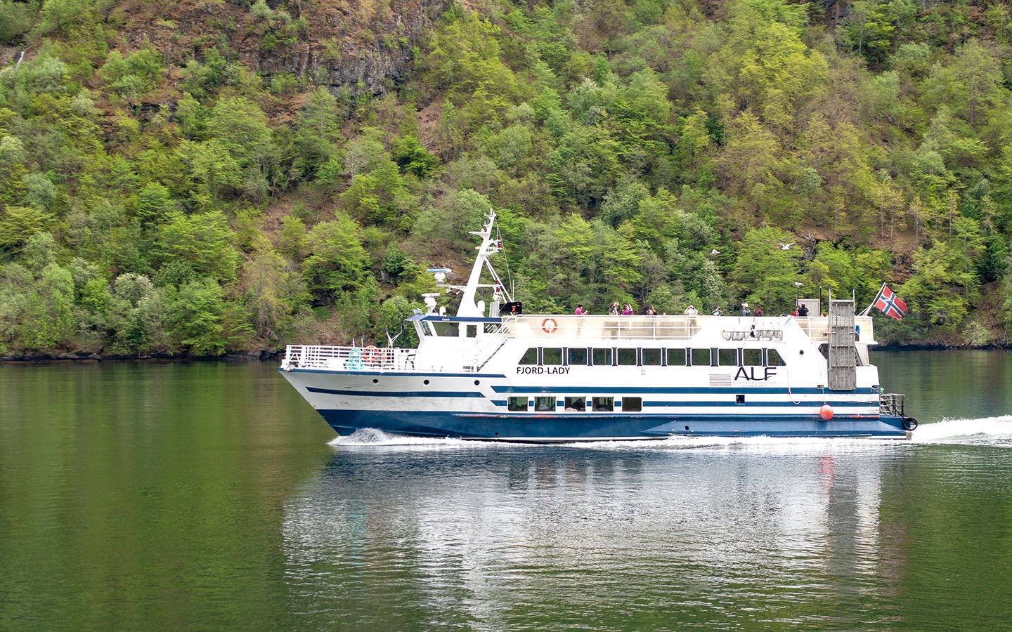 Norwegian fjords boat trip frm Flam
