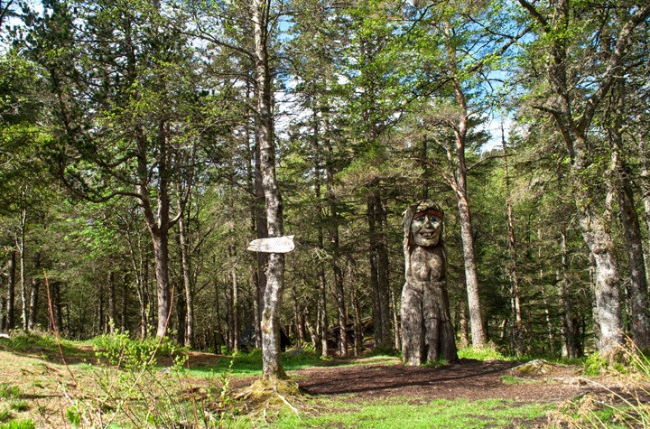 Forest walk from Mount Fløyen in Bergen, Norway