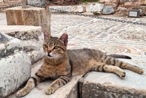 ephesus ruins