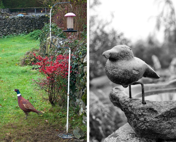 Garden at Douglas's Barn in the Peak District