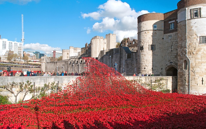 Tower of London poppies