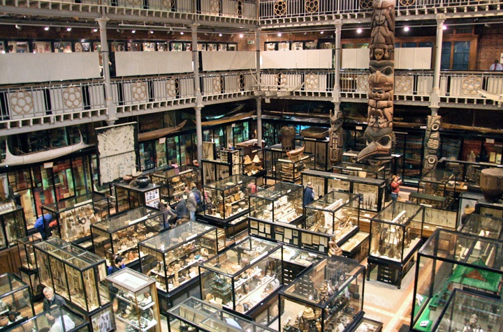 Pitt Rivers Museum, Oxford