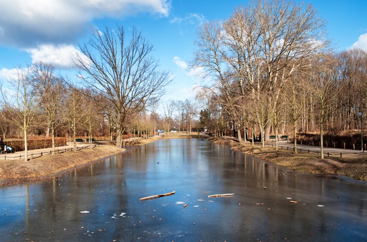Berlin's Tiergarten in winter