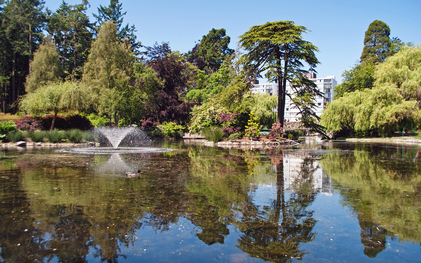 Beacon Hill Park in Victoria, British Columbia, Canada
