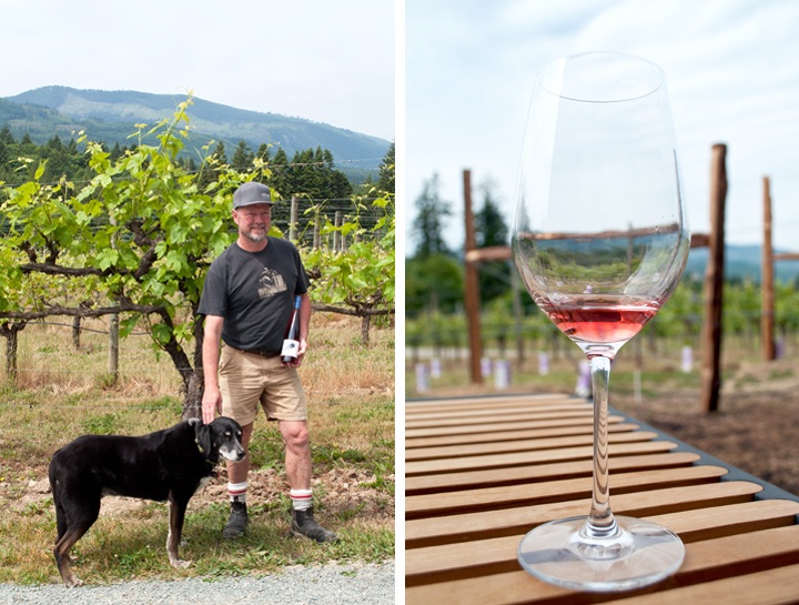 Blue Grouse Estate Winery