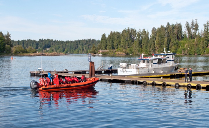 Boat trips