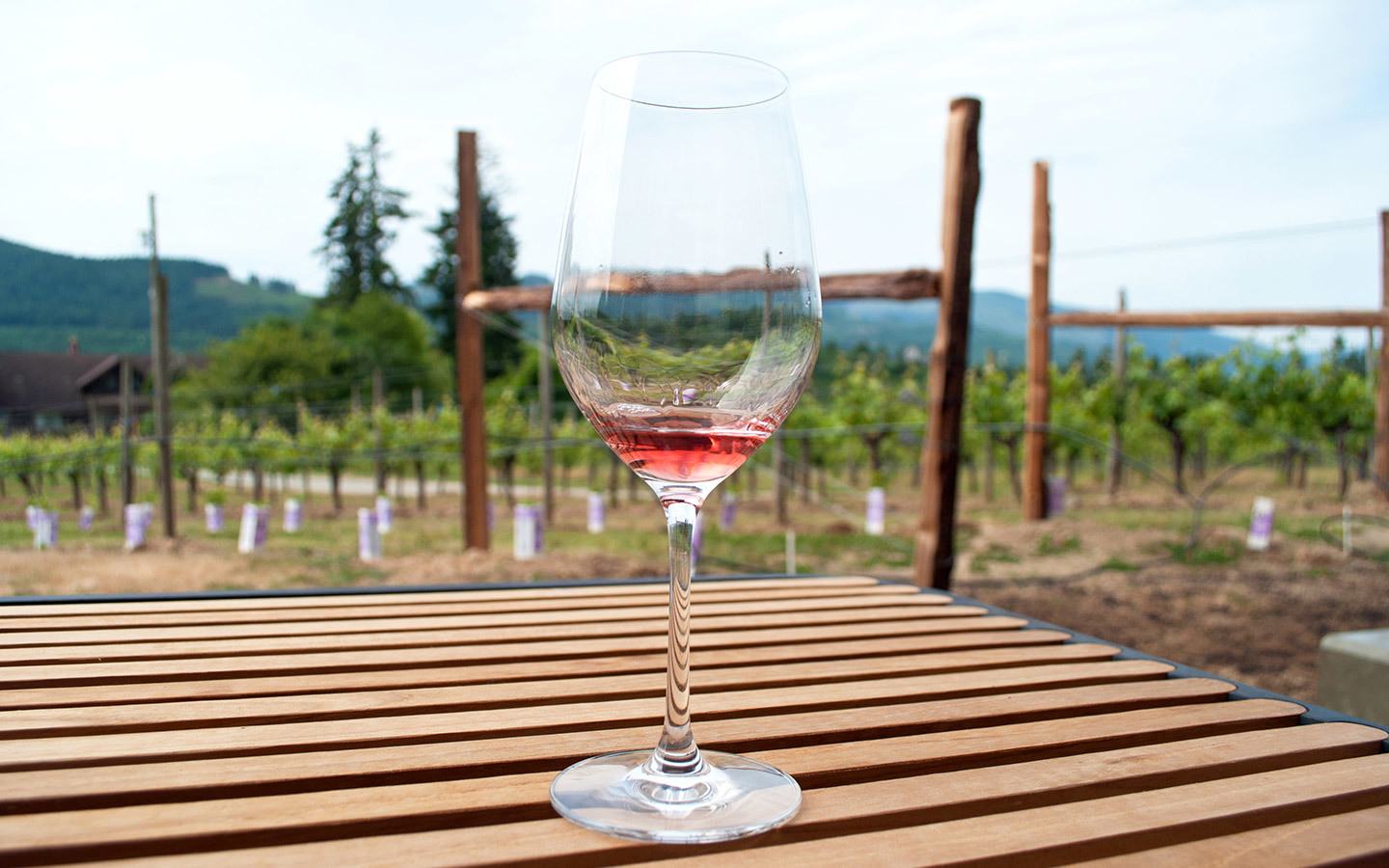 Wine tasting at Blue Grouse Winery in the Cowichan Valley