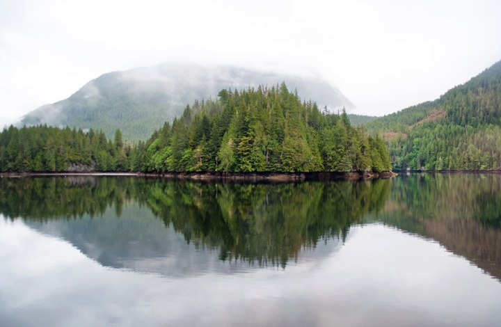 Great Bear Rainforest Canada