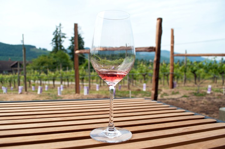 Blue Grouse Winery in Canada