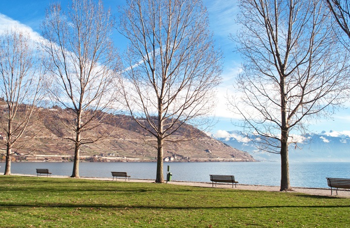 Lake views in the Lavaux vineyards