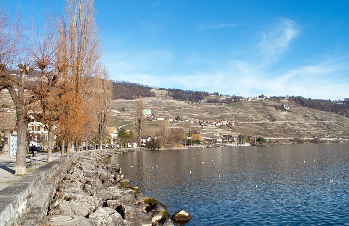 Walk along the lakefront in Cully, Lavaux Switzerland