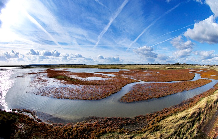 Rye Harbour Nature Reserve