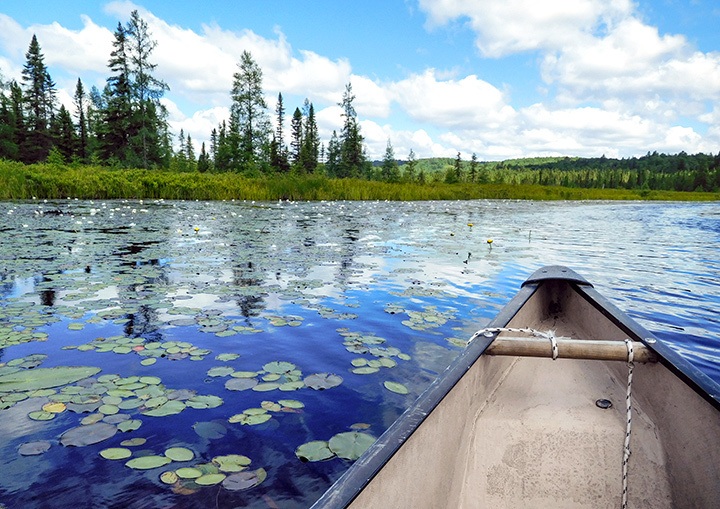 Algonquin Provincial Park