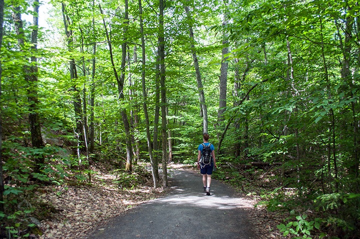 Hiking in Algonquin Provincial Park