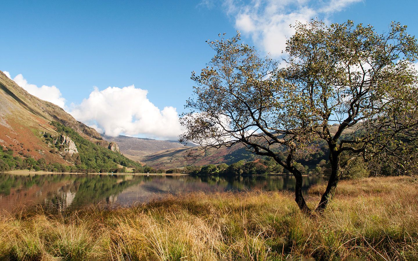 Views of Llyn Gwynant lake in Snowdonia
