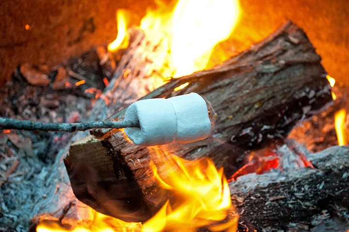 Campfire and toasted marshmallows
