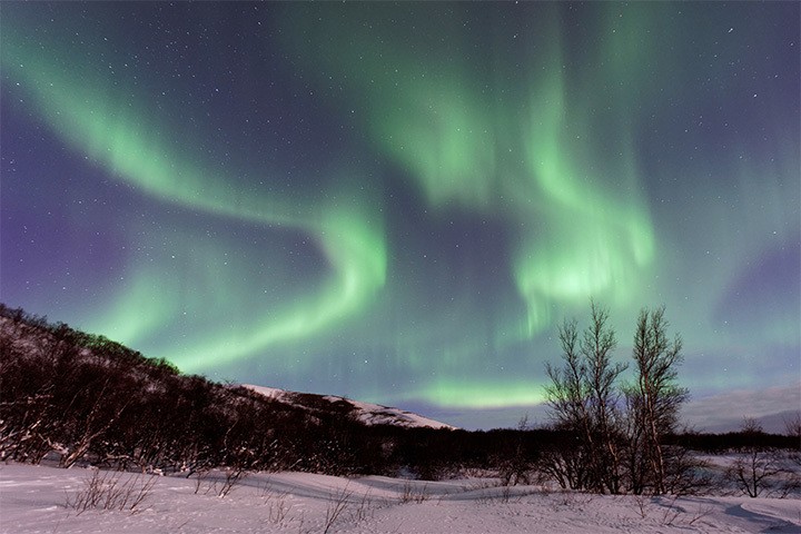 The Northern Lights