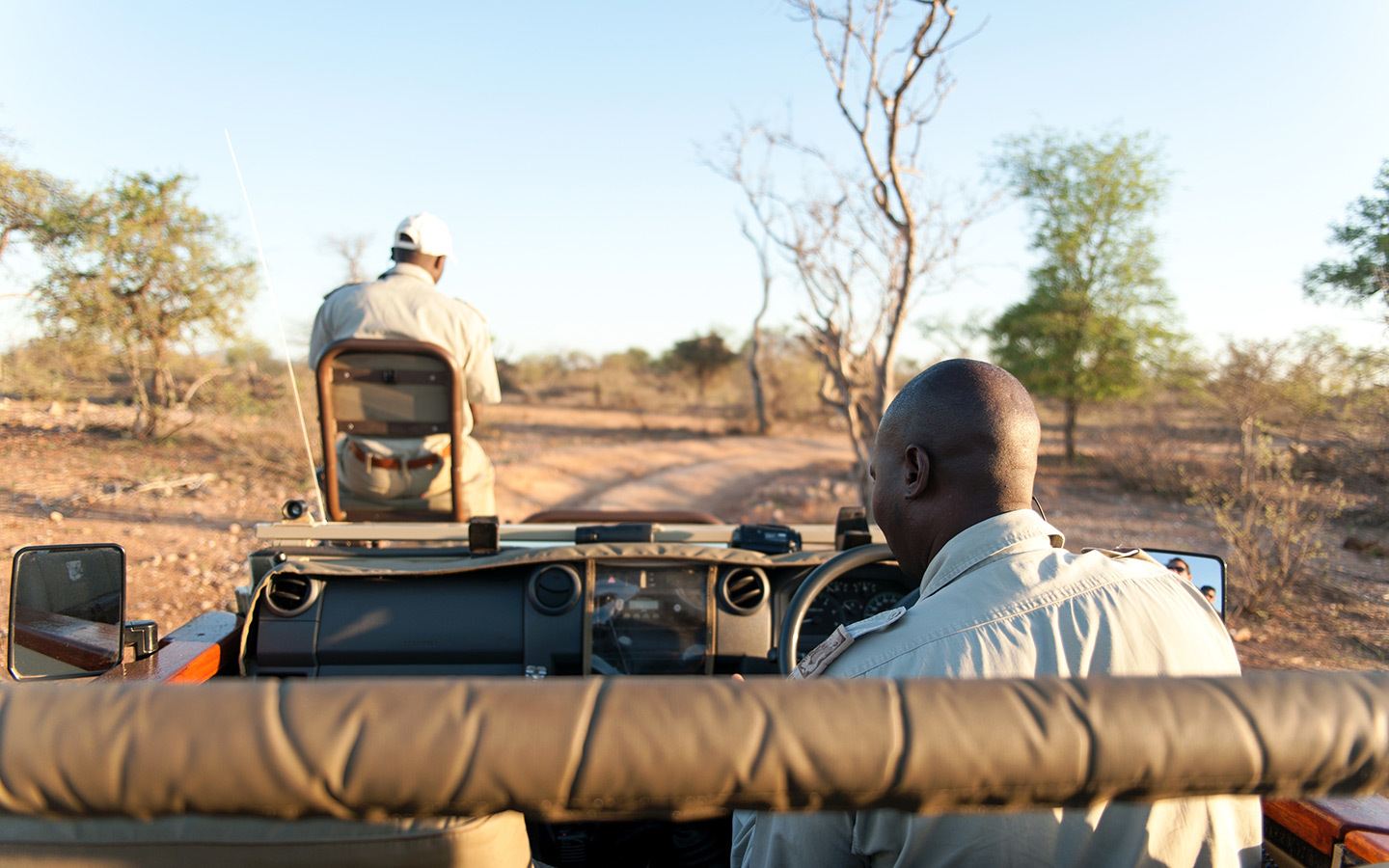 Relearning the art of patience on safari