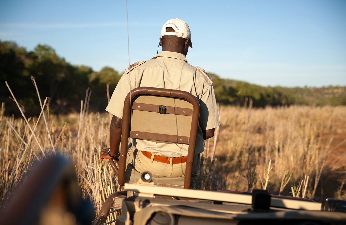 Afternoon game drive
