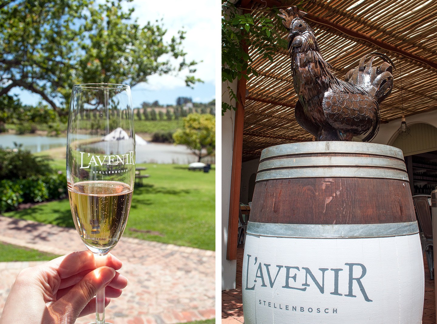 L'Avenir in the Cape Winelands at Stellenbosch South Africa