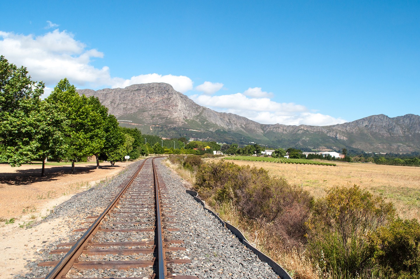Franschhoek's wine tram, South Africa