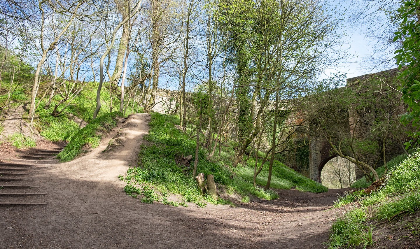 Roslin Glen, Edinburgh