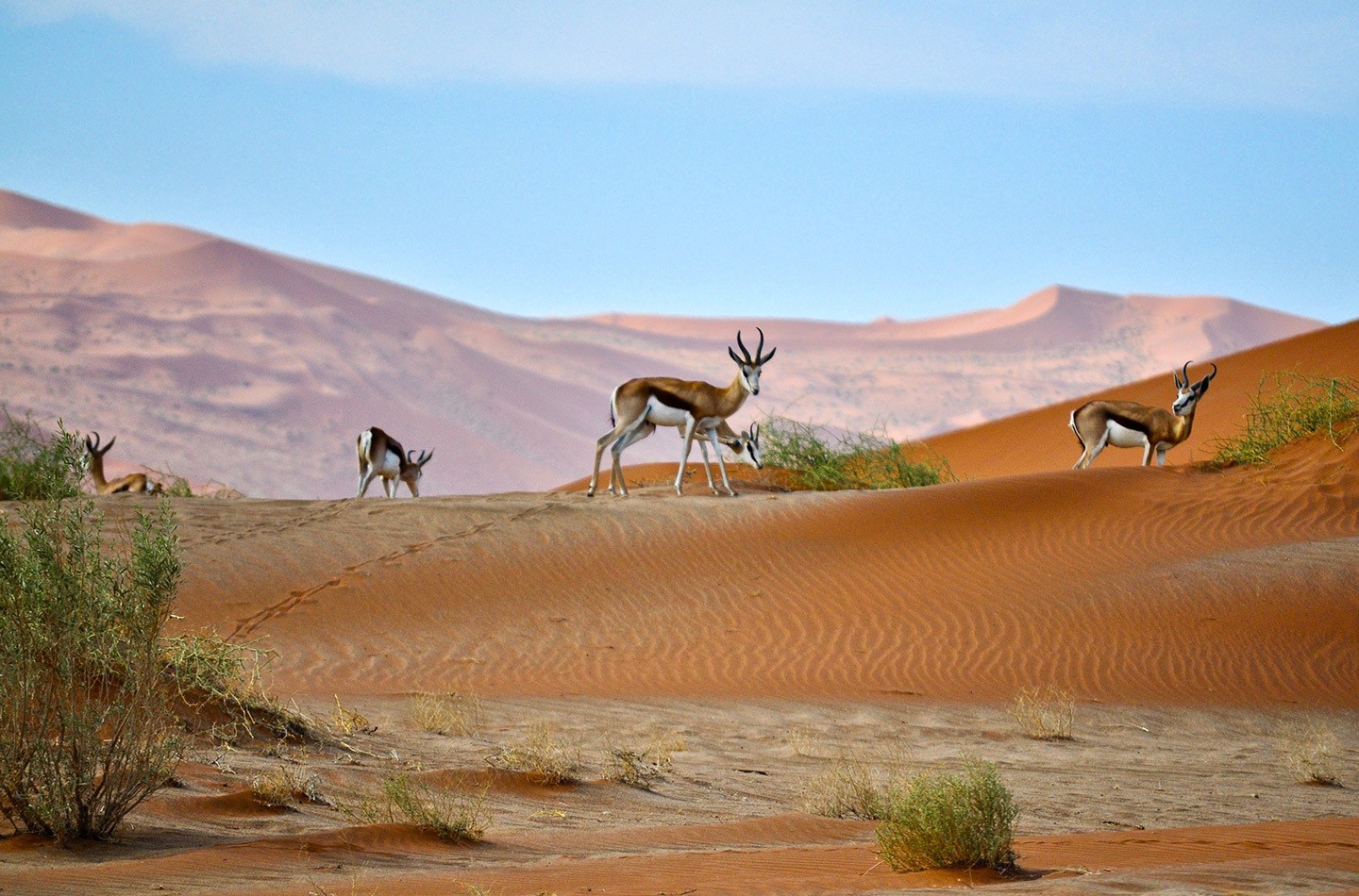 Namibia sand dunes