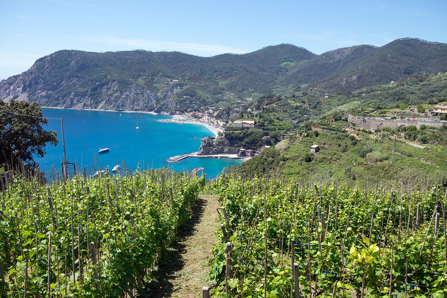 The first-timers guide to visiting the Cinque Terre – walking routes to Monterosso
